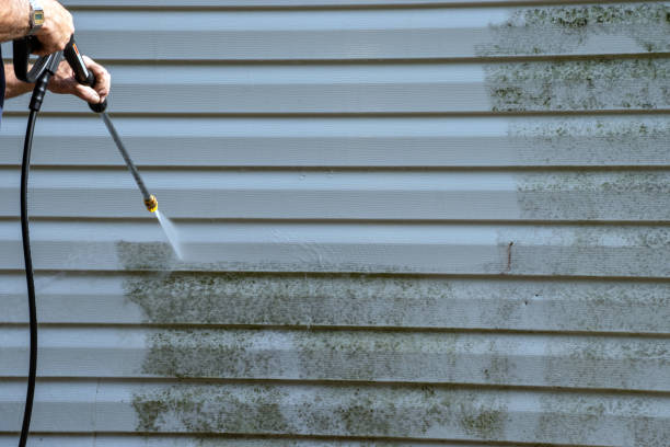 Best Hoarding Cleanup  in Laverne, OK